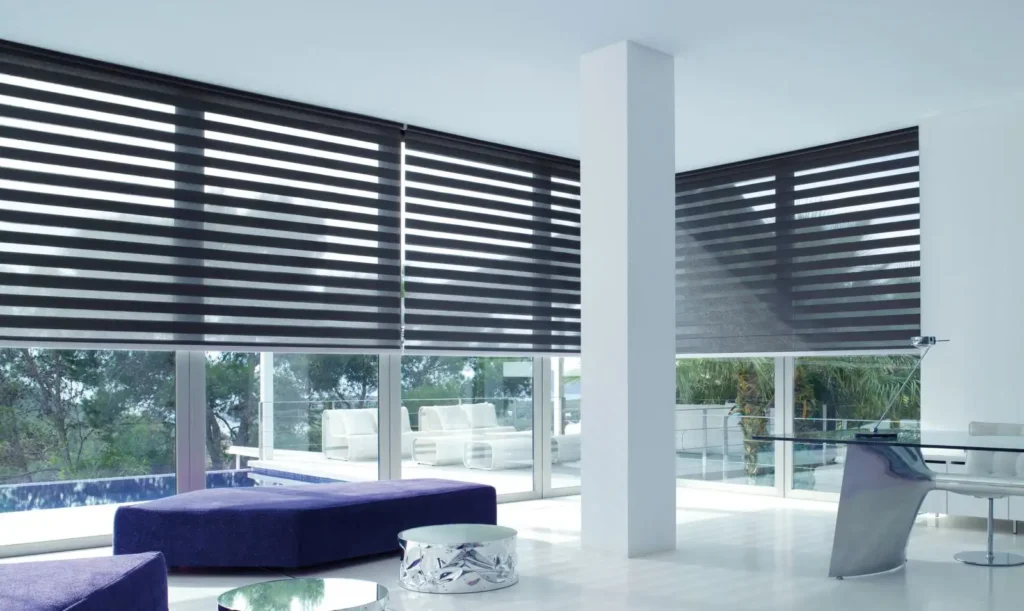 Zebra Blinds